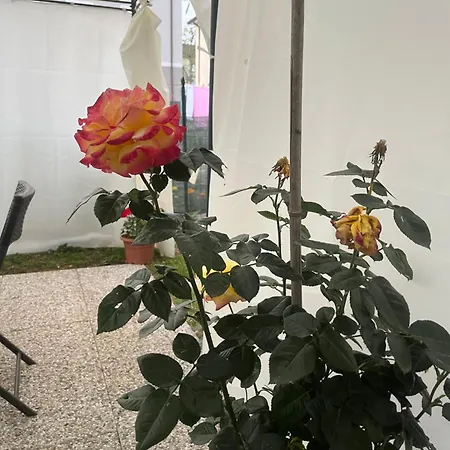 Casa Rei Διαμέρισμα *
